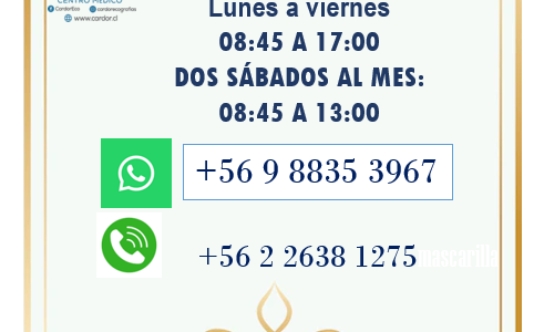 Horario de Atención