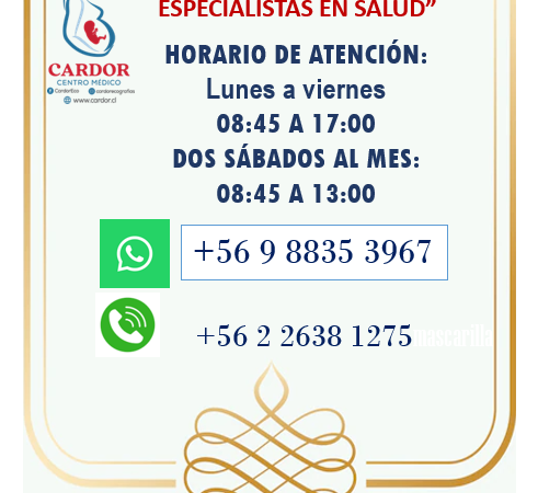 Horario de Atención